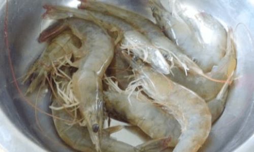 Mastering the Art of Cooking Perfect White Boiled Shrimp:A Comprehensive Guide