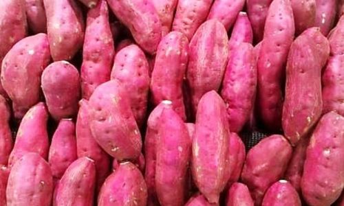 Can Sweet Potatoes Be Consumed Raw?Unveiling the Truth Behind This Nutritional Powerhouse