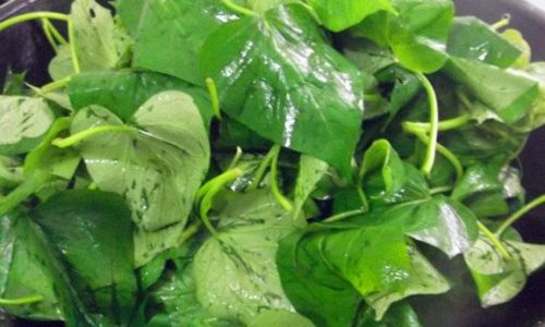 Mastering the Art of Cooking Sweet Potato Leaves:Delicious Recipes and Culinary Techniques