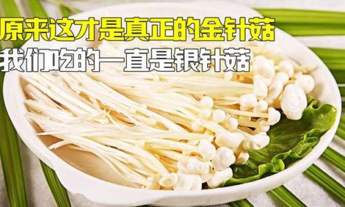 Unveiling the Distinctions Between White and Yellow Enoki Mushrooms:A Comprehensive Guide