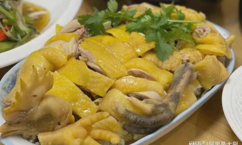 The Art of Pairing Dipping Sauces with White Cut Chicken:A Culinary Exploration