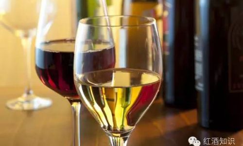 The Nuanced Divide:Unraveling the Differences Between White and Red Wine