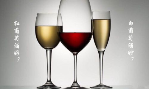 The Nuanced Divide:Unraveling the Differences Between White and Red Wine