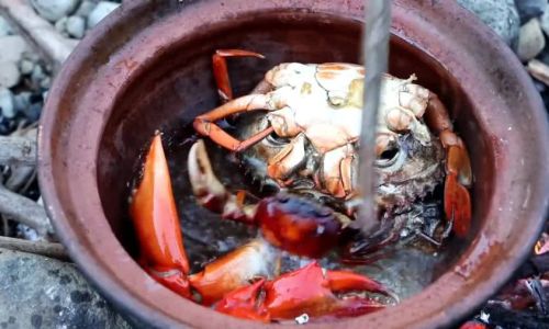 Mastering the Art of Cooking White Crab:A Guide to Delicious and Tender Results