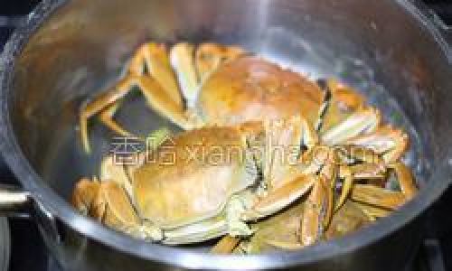 Mastering the Art of Cooking White Crab:A Guide to Delicious and Tender Results