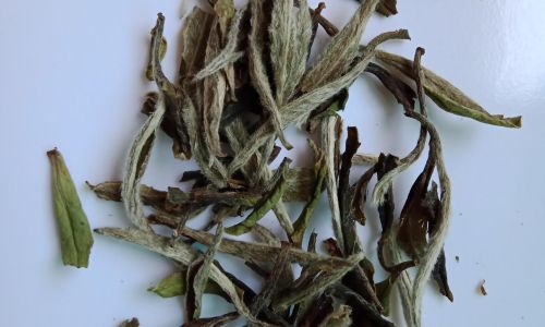 The Art of Brewing Bai Mudan Tea:A Comprehensive Guide to Perfecting Your Cup of White Peony