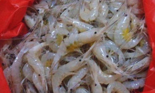 How to Keep White Rice Shrimp Fresh:A Comprehensive Guide to Storage and Preservation