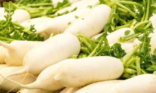 Creative and Nutritious Ways to Enjoy Daikon Leaves:From Kitchen Basics to Gourmet Recipes