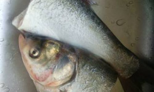 Mastering the Art of Stewing Silver Carp:A Comprehensive Guide to Flavorful and Tender Results