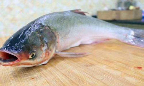 The Delicate Delight of Silver Carp:A Culinary Journey Through Flavor and Culture