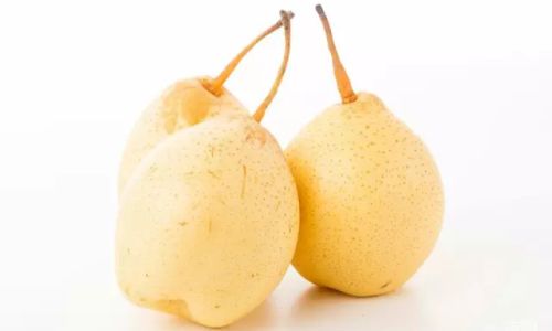 Exploring the Baili Pear:A Jade-Like Delicacy from China’s Heartland