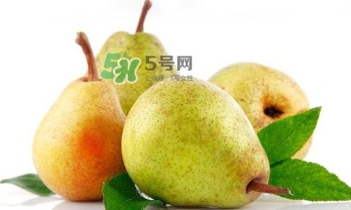 Exploring the Baili Pear:A Jade-Like Delicacy from China’s Heartland