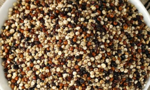 The Versatile Guide to Cooking and Enjoying White Quinoa:Healthy Recipes and Creative Ideas