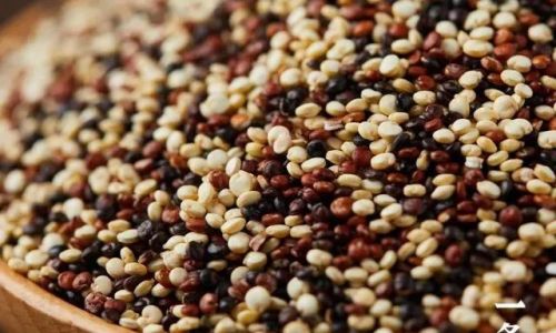 The Versatile Guide to Cooking and Enjoying White Quinoa:Healthy Recipes and Creative Ideas