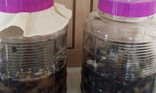 Infusing Tradition:A Guide to Crafting Baijiu-Infused Wine Blends
