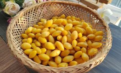 The Ultimate Guide to Cooking and Enjoying Ginkgo Nuts:From Preparation to Culinary Delights