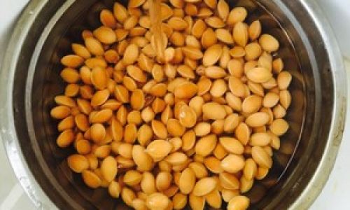 The Ultimate Guide to Peeling Ginkgo Nuts:Techniques,Tips,and Safety Precautions