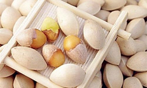 The Ultimate Guide to Preserving Cooked Ginkgo Nuts:Methods,Tips,and Best Practices