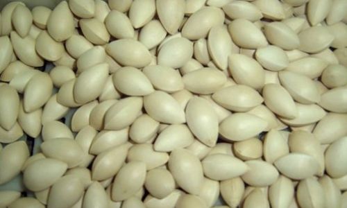 The Ultimate Guide to Preserving Cooked Ginkgo Nuts:Methods,Tips,and Best Practices