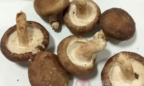 Deciphering the Delicate Distinctions:A Comprehensive Guide to White Mushrooms vs.Button Mushrooms