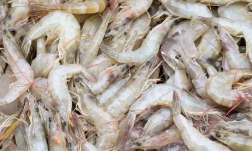 How Long to Boil White Shrimp to Perfection:A Comprehensive Guide to Cooking Times and Techniques