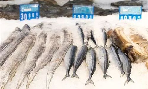 Mastering the Art of Cooking White Croaker:Delicious Recipes and Expert Tips