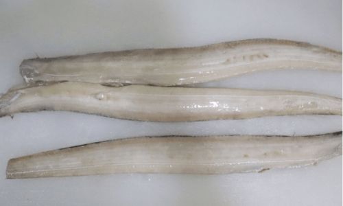 =How to Cook Hairtail:A Culinary Guide to Preparing This Unique Seafood Delicacy=