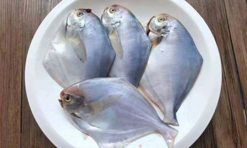 Mastering the Art of Steaming Pomfret:Perfect Timing for Flavorful Results