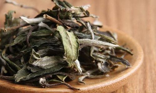 The Nuanced World of White Tea:Decoding the Distinctions Between Its Four Premier Grades