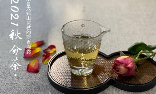 The Nuanced World of White Tea:Decoding the Distinctions Between Its Four Premier Grades