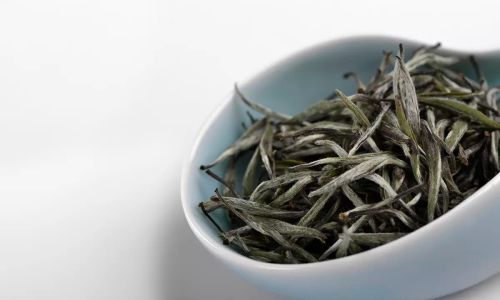 Unveiling the Enigma of White Tea:A Journey Through History,Craftsmanship,and Wellness