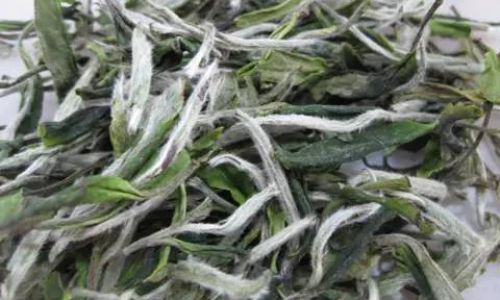 The Art of Brewing White Tea:Mastering the Perfect Steeping Time