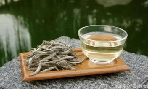 The Art of Brewing White Tea:Mastering the Perfect Steeping Time