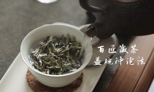 The Art of Brewing White Tea:A Comprehensive Guide to Perfect Infusion