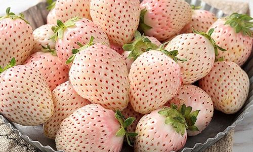 How to Determine the Freshness of White Strawberries:A Comprehensive Guide