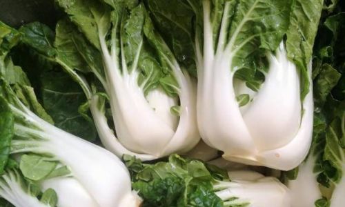 The Art of Drying Cabbage:A Comprehensive Guide to Preserving This Nutritious Vegetable