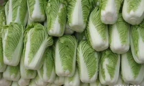 The Art of Drying Cabbage:A Comprehensive Guide to Preserving This Nutritious Vegetable