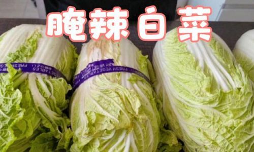 The Ultimate Guide to Crafting Crispy and Flavorful Cabbage Kimchi:Expert Tips and Techniques