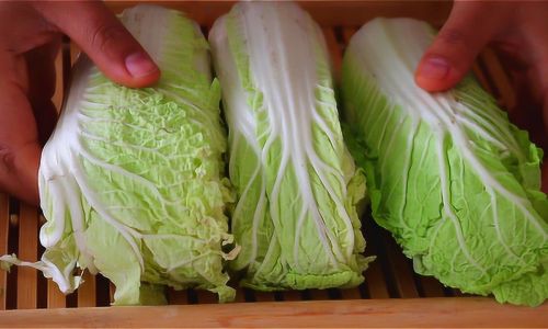 Creative and Simple Cabbage Recipes for Everyday Meals
