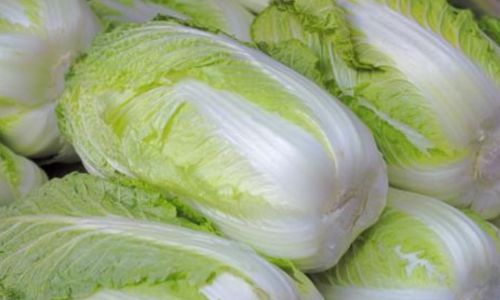 The Remarkable Health Benefits and Nutritional Power of Chinese Cabbage:A Comprehensive Guide