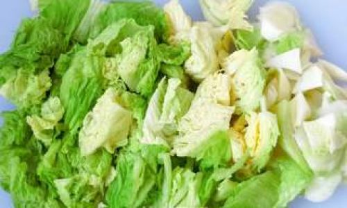Mastering the Art of Cooking Dried Chinese Cabbage and Tofu:A Comprehensive Guide