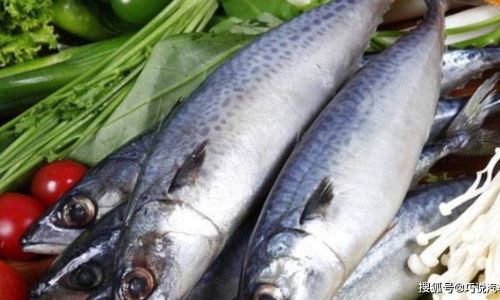 Mastering the Art of Cooking Spanish Mackerel:The Ultimate Guide to Its Most Flavorful Preparation