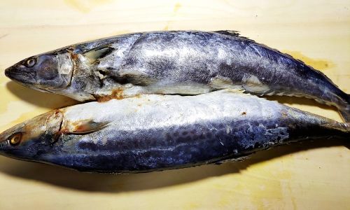 Mastering the Art of Cooking Mackerel:Delicious and Odor-Free Techniques