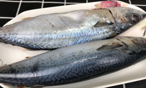 Mastering the Art of Cooking Mackerel:Tips for Delicious and Aromatic Dishes