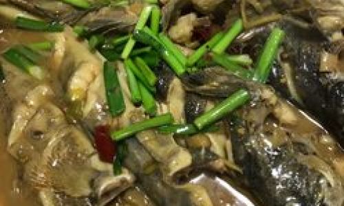 Mastering the Art of Mackerel Dumpling Filling:A Step-by-Step Guide to Flavorful Perfection