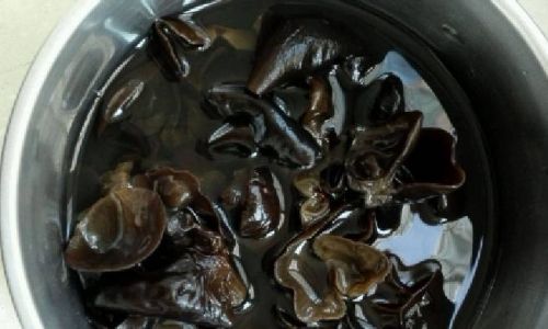 Can You Eat Wood Ear Mushrooms Left Overnight?A Comprehensive Guide to Food Safety and Storage