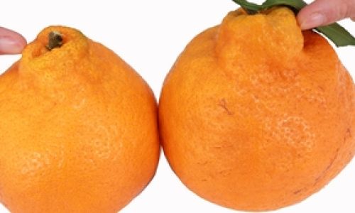 1.The Importance of Visual Inspection
