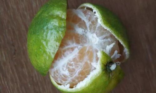1.The Importance of Visual Inspection