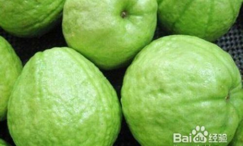 The Ultimate Guide to Enjoying Guava:From Raw to Cooked Delights