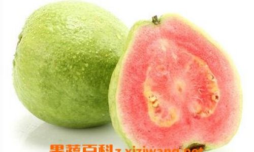 The Ultimate Guide to Enjoying Guava:From Raw to Cooked Delights